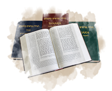 EN-Home-Bibles.png