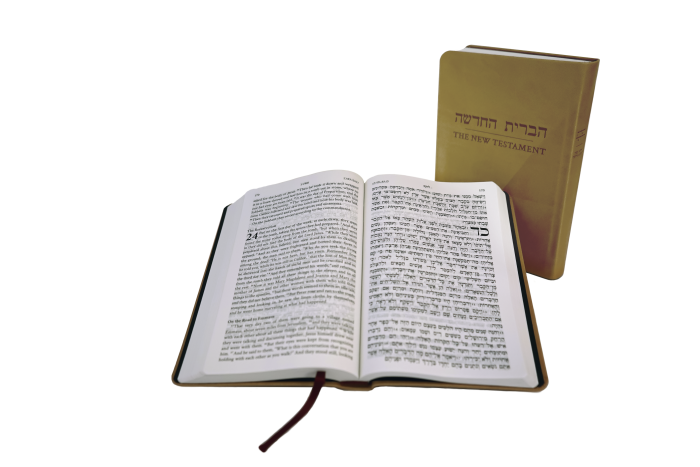 ESV nt