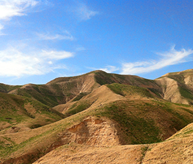 Ale betekenis Ale betekenis