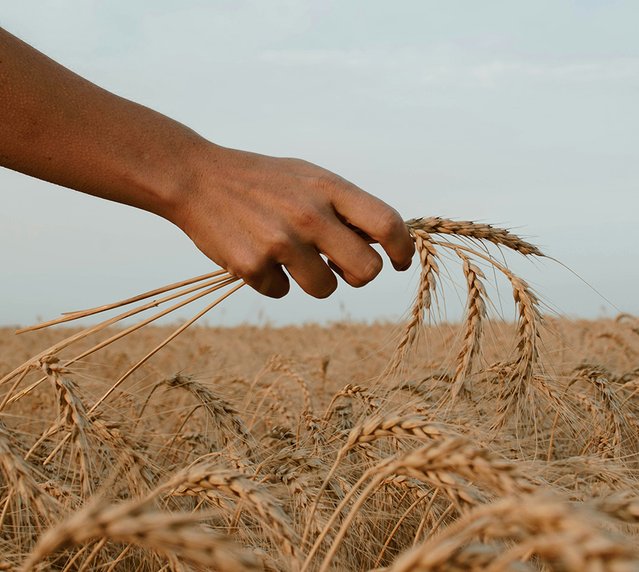 paz-arando-zwZusrYAGoM-unsplash klein.jpg