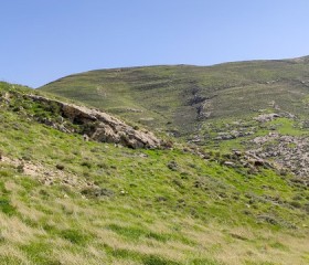 Stier_Bergrede_2_50.jpg