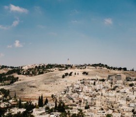 Stier_Mount_of_Olives_25.jpg