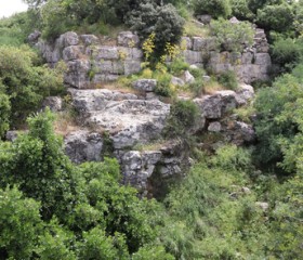 Stier_BErg_Tabor_1_25.jpg