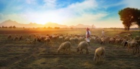 Bijbelstudie Schapen zonder herder.jpg